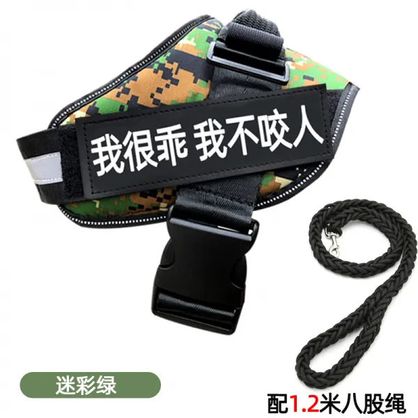 Mar.20 176번 강아지 가슴 멜빵 견인줄 덕목 조끼형 말견 사모예 용품 대형 중형견 산책용 목줄 체인z Xs 8 13 근 8 근 미 만 의 연락 서비스 로즈 그린 + 1.2m 8 줄