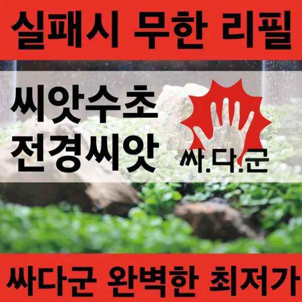 싸다군 씨앗수초 (실패보장)