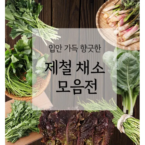 해든팜 최숭영 생산자님의 향긋한 국내산 채소(참나물 상추 부추외3종)골라담기, 쑥갓200g