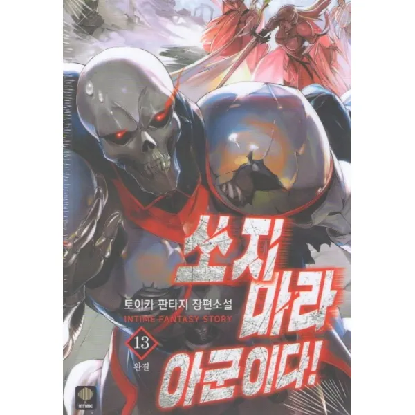쏘지마라 아군이다. 13(완결):토이카 판타지 장편소설, 인타임