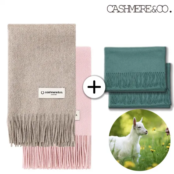 캐시미어앤코 몽골 캐시미어 100% 머플러 지블링 몽고내산 목도리 넥워머 2022 fw 프리미엄 오트밀 1개 베이비핑크1 + 베이직 에메랄드 2개 세트