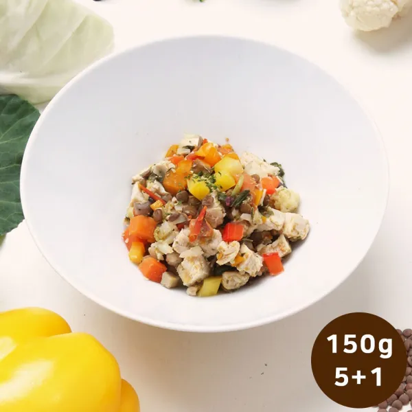 (정견식) 강아지 수제사료 자연식 화식, 150g, 닭