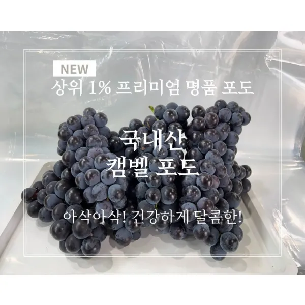 고당도 경북 상주켐벨 캠벨포도 3kg, 상주캠벨포도 특(3kg)