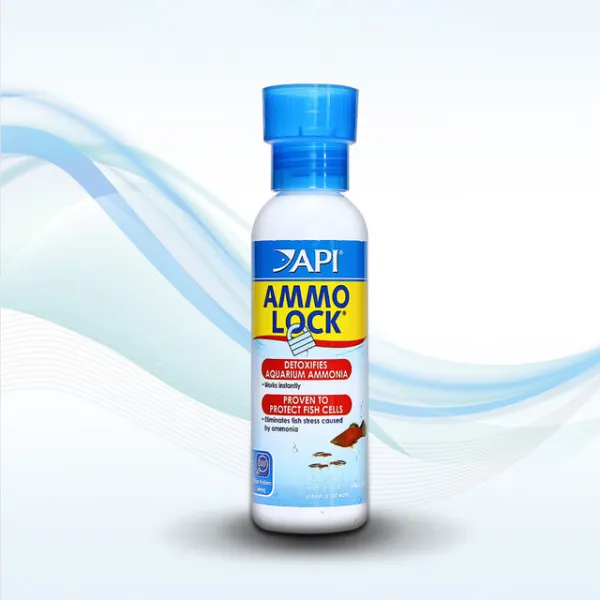 API 암모락 118ml (암모니아제거 아가미기능 개선), 1개