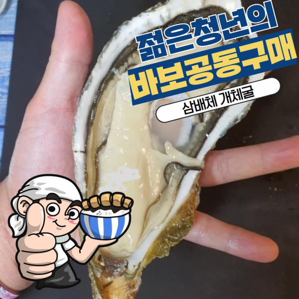 [바보공구] 삼배체 개체굴 2kg [벚굴보다 크고 맛있는 삼배체), 1팩, 2kg (16~24미 내외)