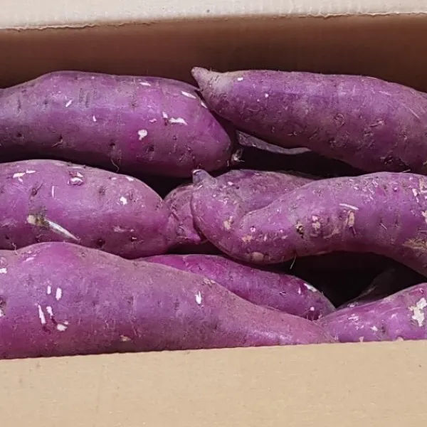 알뜰농장 꿀고구마 긴특, 1box, 10kg