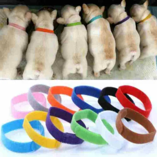 강아지 고양이 출산준비물 탯줄 목걸이 12색SET 새끼구별 목줄 인식표, M