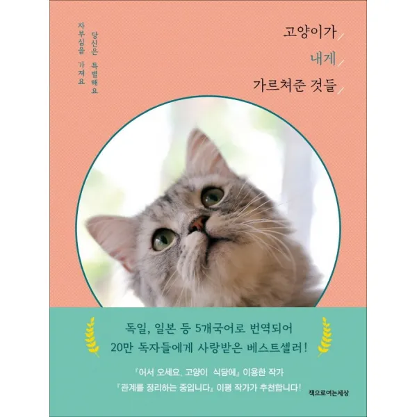 고양이가 내게 가르쳐준 것들:자부심을 가져요. 당신은 특별해요, 신시아 L. 코플랜드, 책으로여는세상