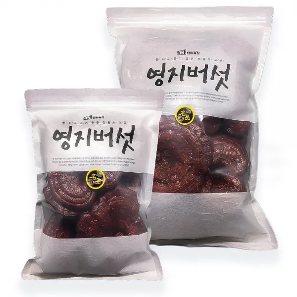 단비농산 국산 영지버섯 (강원도 고성 2019년 수확), 1개, 500g