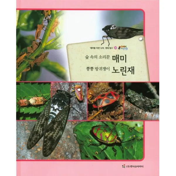 숲 속의 소리꾼 매미 뿡뿡 방귀쟁이 노린재:테마별 자연 나라 생태 탐구, 한국슈타이너