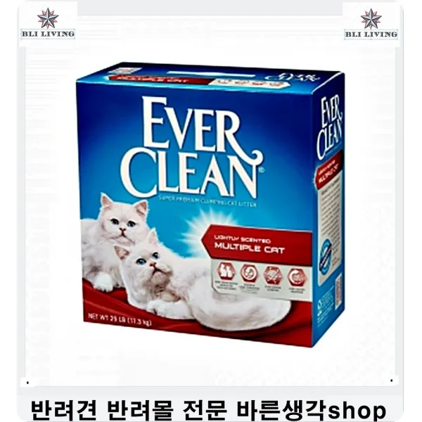 고양이장난감추천 점프하기좋아하는고양이활동력증진장난감 3개 고양이놀아주기 고양이용품샵 고양이키울때 고양이용품 고양이놀이기구, 1개