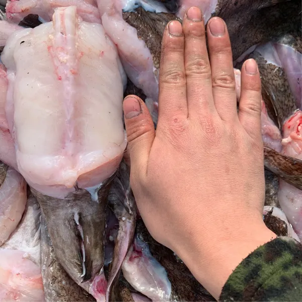 배들어오는날 아귀꼬리살 1kg, 1팩