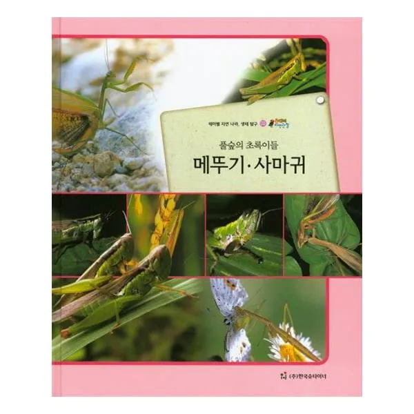 올빼미 자연관찰 03 풀숲의 초록이들 메뚜기사마귀 (곤충류)