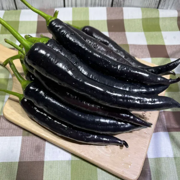 국내산 미인보라 가지 고추 1kg 4kg 가지고추 500g