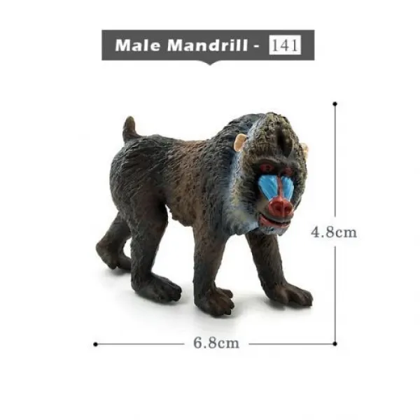 [해외] 사슴 Warthog 살쾡이, Male Mandrill