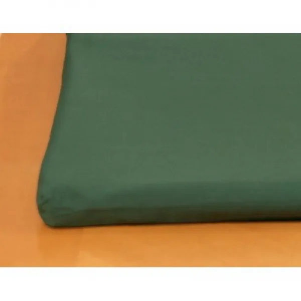 Canine Cooler Cool Cushion Cover Size: Small Color: Green 송곳니 쿨러 쿨 쿠션 커버 크기 : 작게 색상 : 녹색, 1