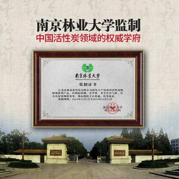 남쪽 숲을 이루었다 살아 있는 숯덩이 제 맛 가다 새집 인테리어 대숯 급함 입주함 카본 흡 장식, 차이나 500g /가방 *4가방 양소