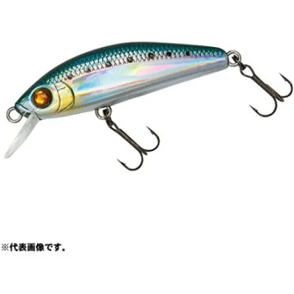 다이와 (DAIWA) 아징 메바 링 월하 미인 밤안개 Z 케이 무라 홀로 정어리 42F-DR 루어 9999993061357, One Size, One Color