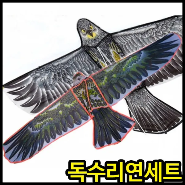 아이윙스 4000 독수리 연세트 150cm 야외놀이 어린이선물, 랜덤혼합