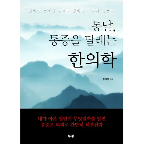 통달 통증을 달래는 한의학:통하지 못하면 아프고 통하면 아프지 않다, 부광