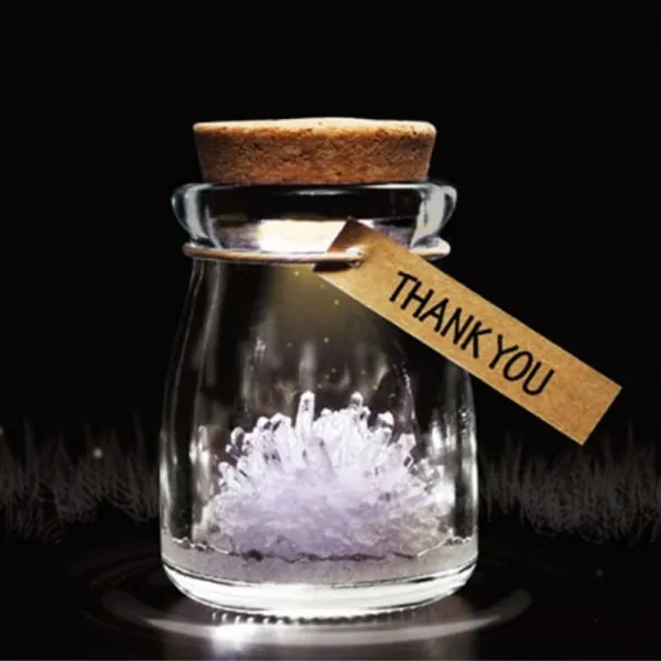 포화용액이용 Led 크리스탈 키우기 과학키트