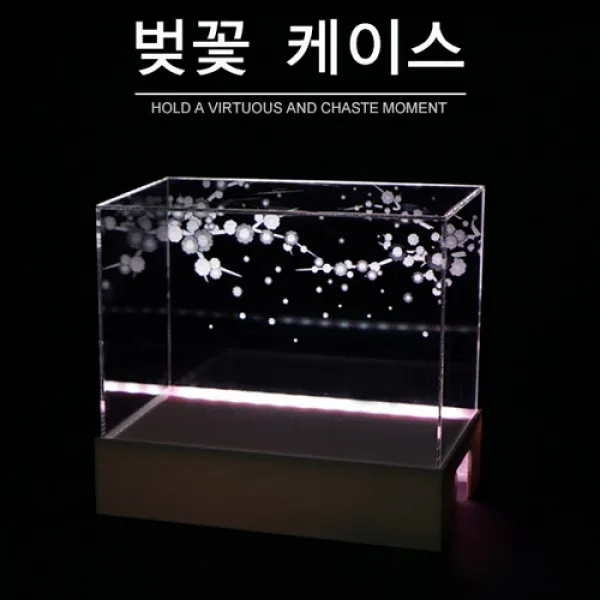 [바보사랑]벚꽃 케이스(Cherry blossom case)