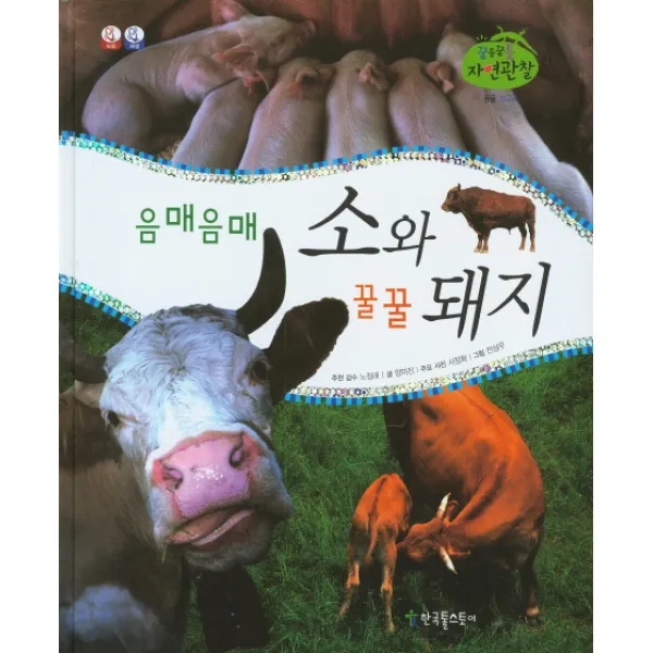 음매음매 소와 꿀꿀 돼지, 한국톨스토이