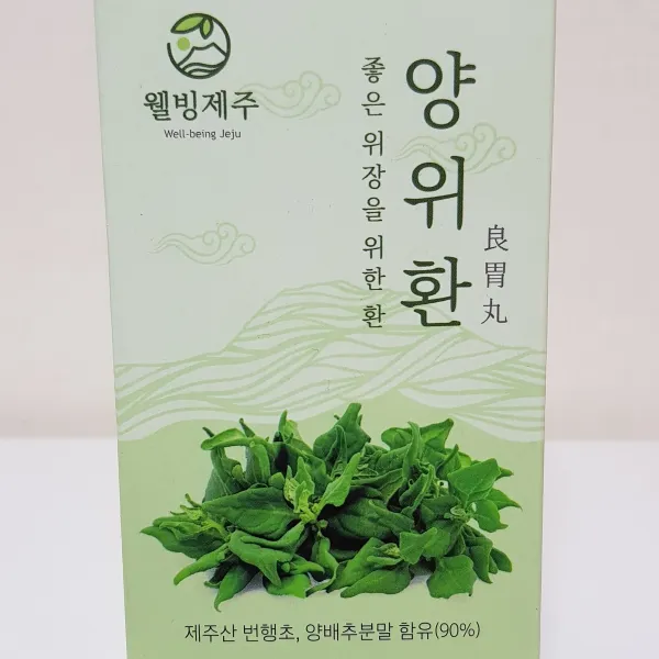 웰빙제주 좋은 위장을 위한 환 양위환 1개 180g