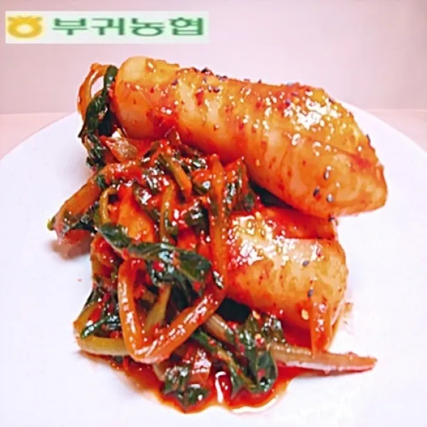 부귀농협 총각김치 5kg (2019년김치품평회.최우수상수상), 1개