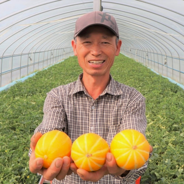 성주 게르마늄 꿀 참외 금싸라기 한박스 3키로 5키로, (가정용) 중대과, 2kg