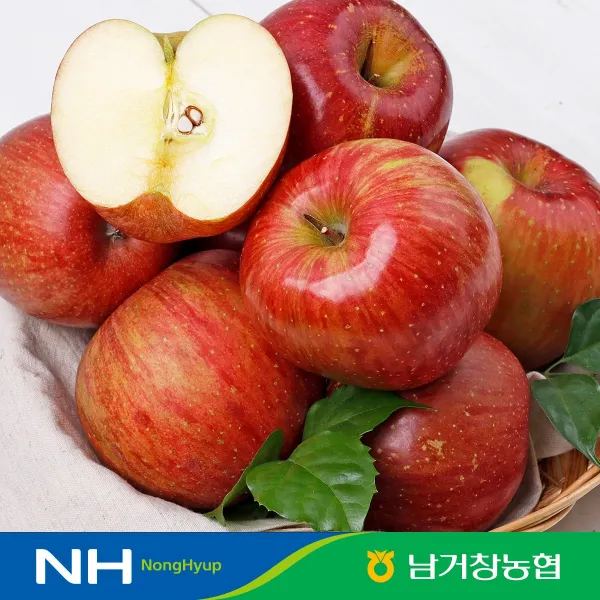 아삭달콤한 거창 꿀사과 가정용 5kg(대과)14-16과 내외, 단품