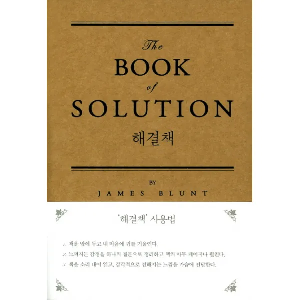 해결책(오리지널)