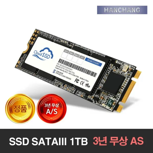 한창코퍼레이션 (당일배송) CLOUD SSD M.2 SATAIII 1TB