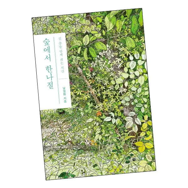 숲에서 한나절 / 남해의봄날 책, 단품
