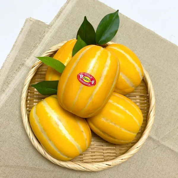 방씨아들 비교불가 성주 참외 5kg, 1box, 5kg(선물용/상품)