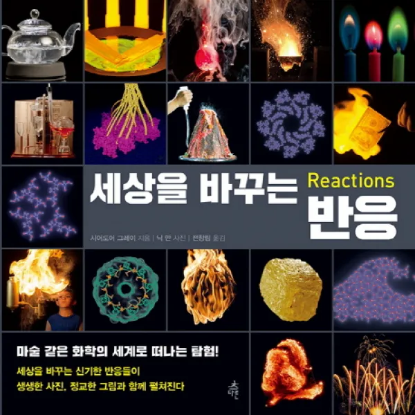 세상을 바꾸는 반응:세상을 바꾸는 신기한 반응들이 생생한 사진 정교한 그림과 함께 펼쳐진다, 다른
