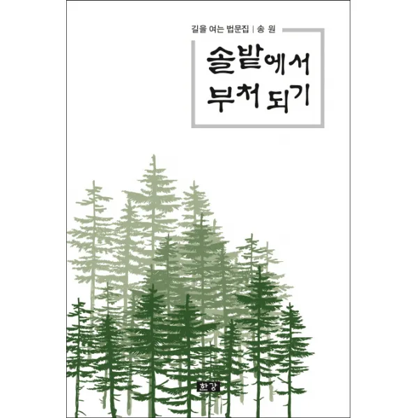 솔밭에서 부처 되기:길을 여는 법문집, 한강