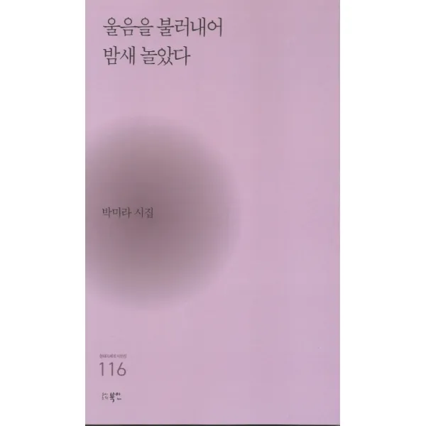 울음을 불러내어 밤새 놀았다:박미라 시집, 북인