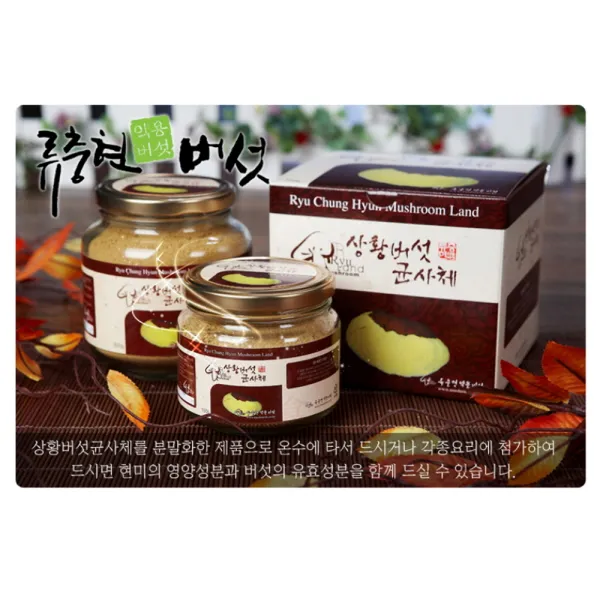 Nd5추천lf23Yv217_상황버섯(국내산) 균사체 300g, 단일 수량