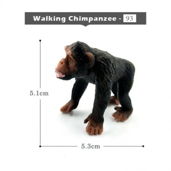 [해외] 사슴 Warthog 살쾡이, Walking Chimpanzee