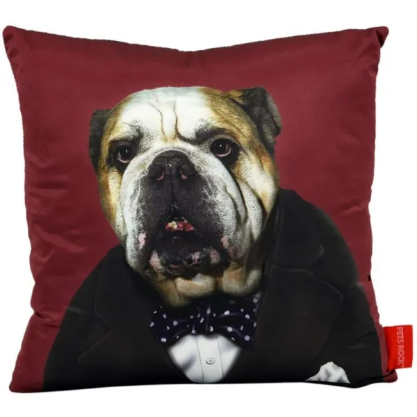 Nmt 제국 예술 직접적인 애완 동물 바위 Hrh 장식적인 방석 P040101kazp7ny2 Leader