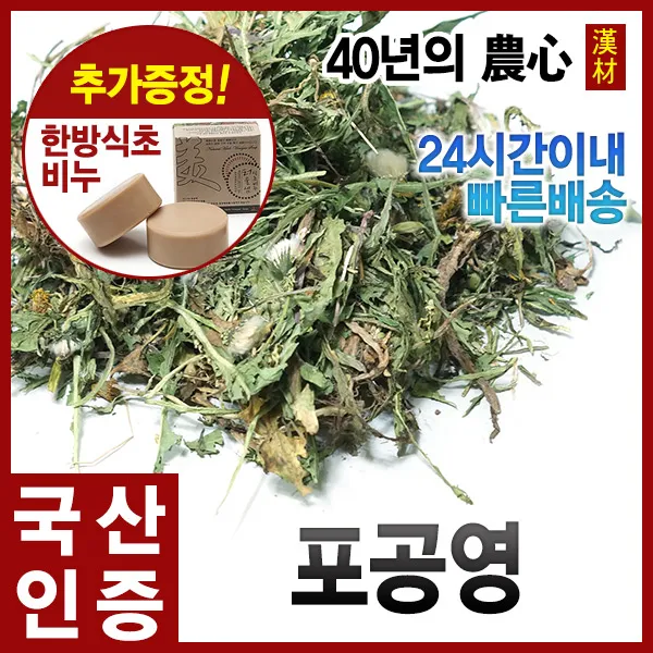 포공영300g 민들레 건조 차 국내산 충북제천 단품