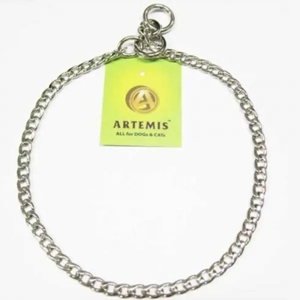 강아지 교육 행동교정 체인줄 목걸이 목줄 개린이날 1호