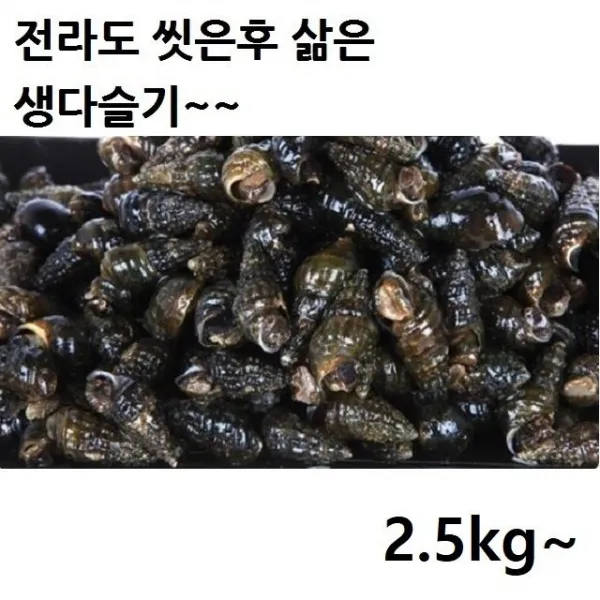 갯고동 우렁이 쇼핑나들이 생다슬기, 1