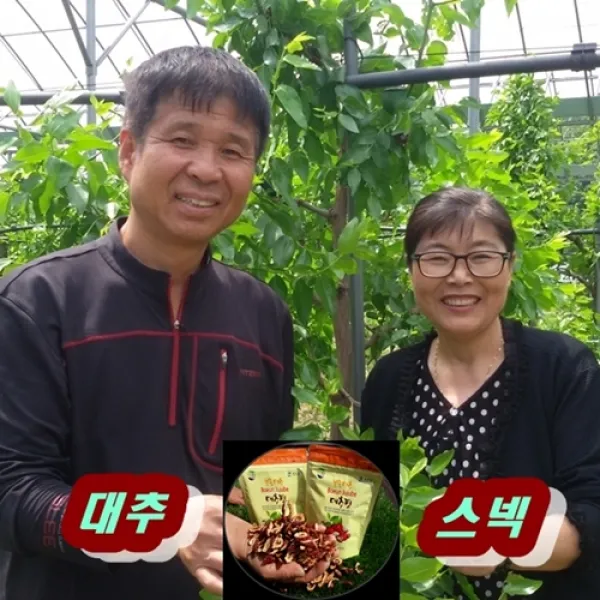 보은대추산외농원 산지직송 보은 김수향님의 달콤바삭한 대추칩 40g 1봉지, 1개