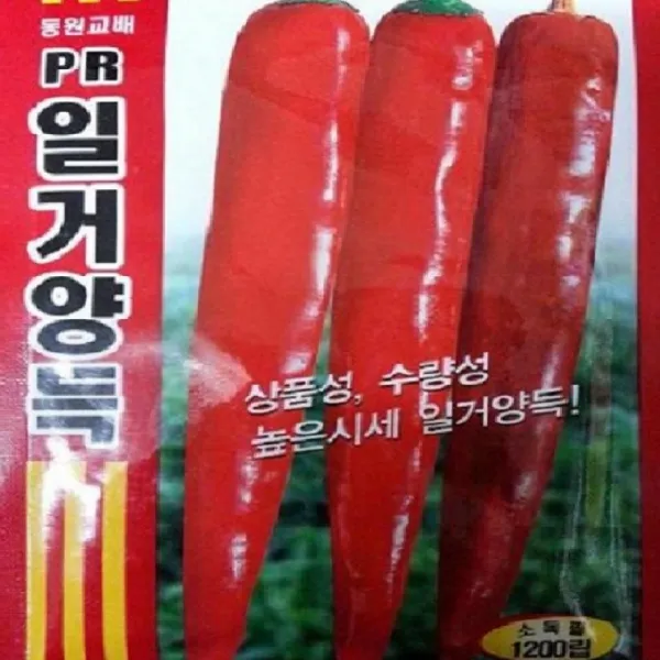[가람종묘사] PR일거양득 고추씨앗1200립(역병 바이러스 내병계 품종 매운맛이 강하고 절간이 짧아 재배하기 용이한 품종)