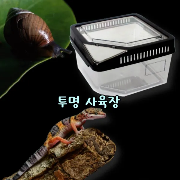 포미포유 360도투명아크릴사육장 전용온도계포함 도마뱀 사슴벌레 달팽이 파충류 곤충류 임시집 관찰학습 간편이동 일시격리, 1개, 투명