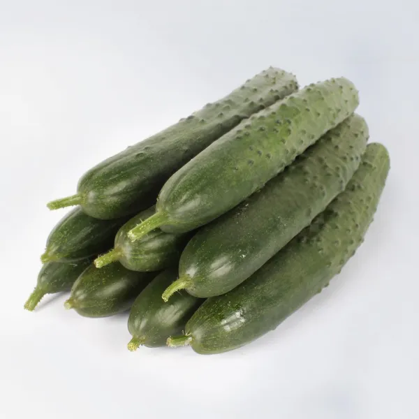 농부마음 싱싱하고 아삭아삭한 취청오이, 1box, 10kg(실속형)