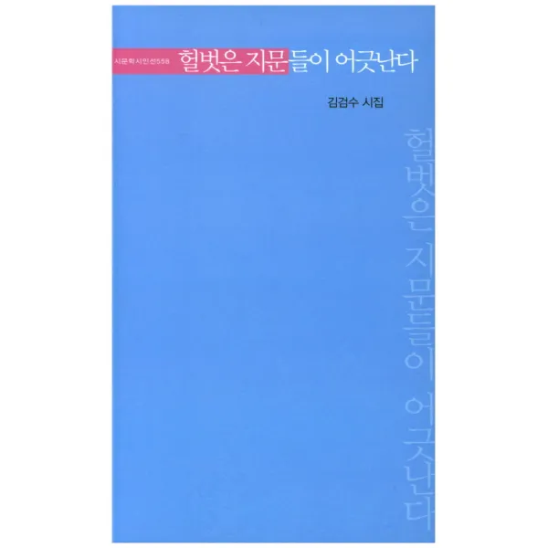 헐벗은 지문들이 어긋난다:김검수 시집, 시문학사