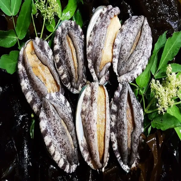 [가정의달] 완도전복 1kg 7-8마리(특특대전복) 선물용[산소포장 우체국택배], 1box, 01. 명품 특특대 1kg (7~8마리)
